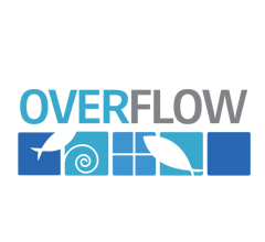 Logo for Overflow Biz, Inc.