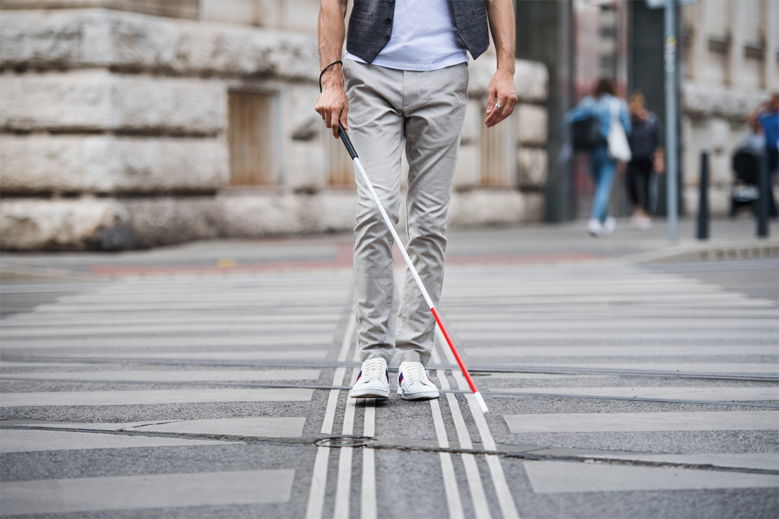 Five Fascinating Facts About White Canes